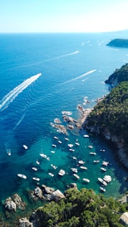 aerial view of green and brown island during daytime