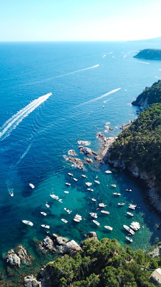 aerial view of green and brown island during daytime