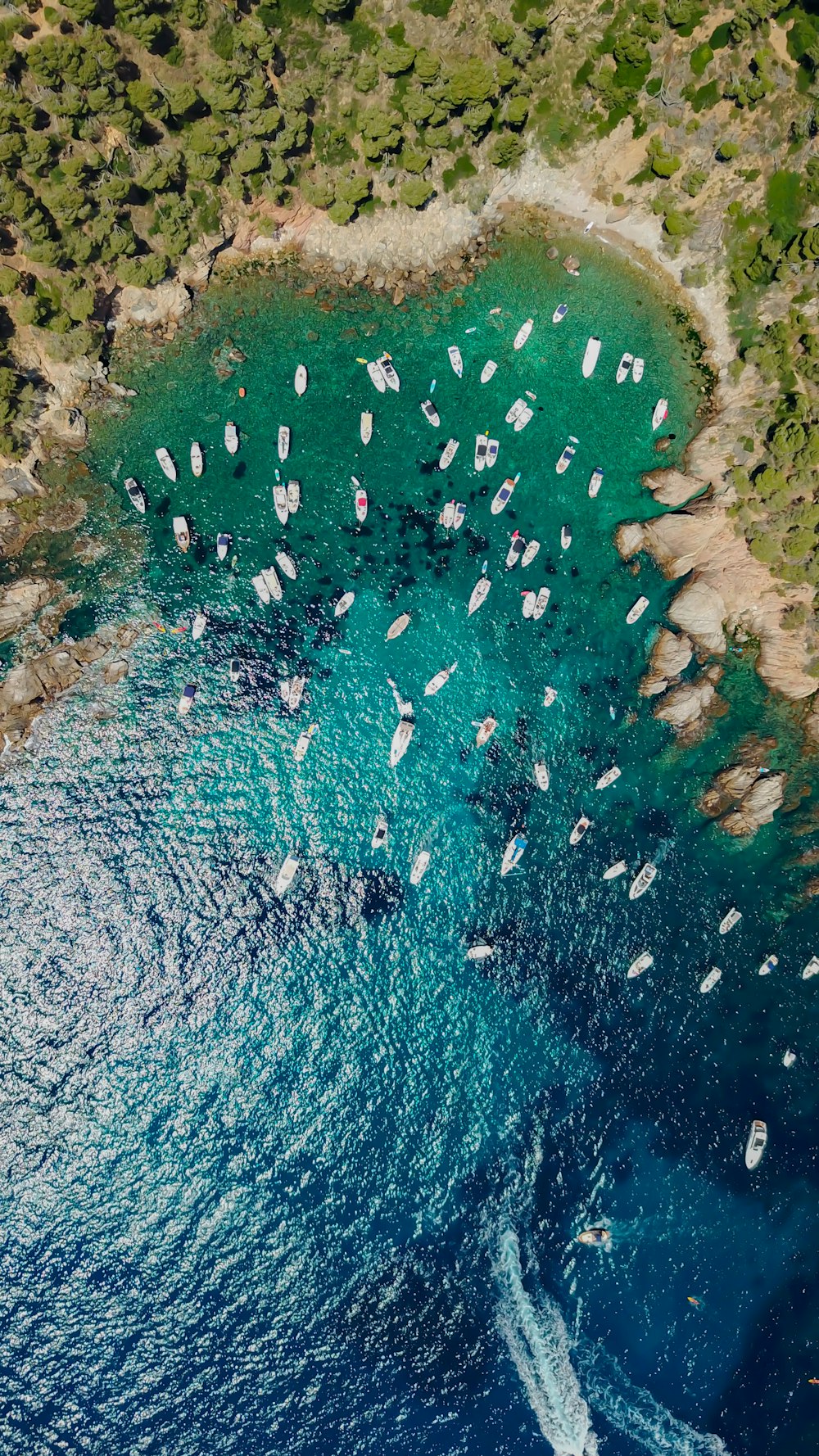 aerial view of body of water during daytime