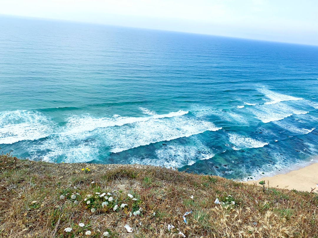 Shore photo spot Portugal Marinha Grande