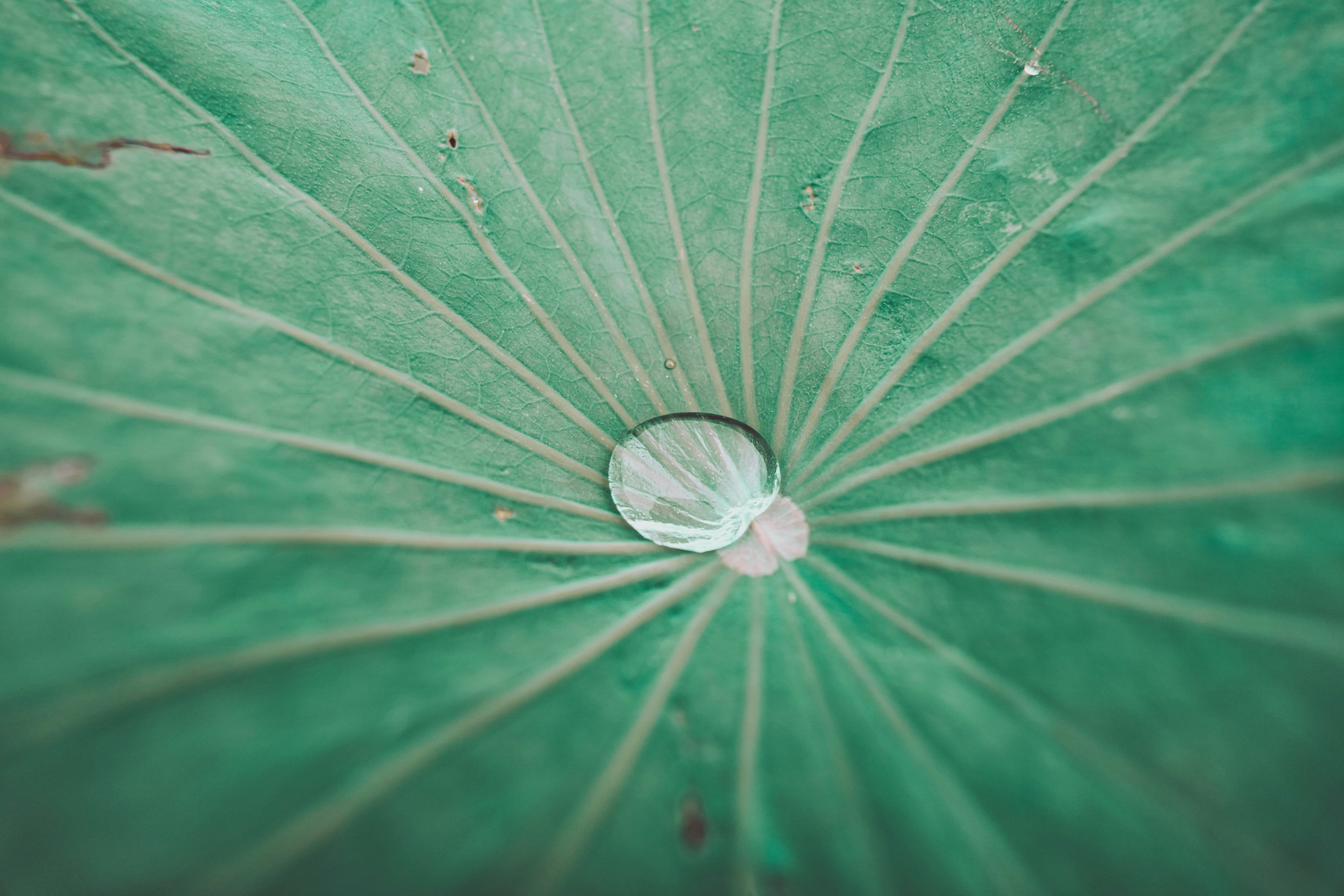 镜片上的“保护衣”：聊聊那些你看不见的“小帮手”