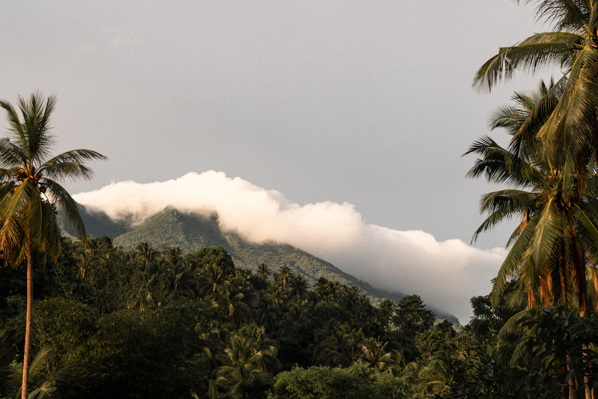 Pico Cão Grande