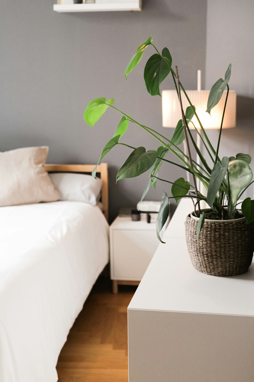 green plant on brown woven basket