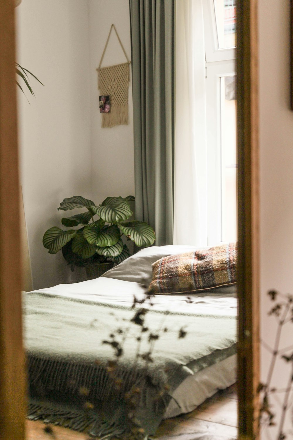 green plant on white bed