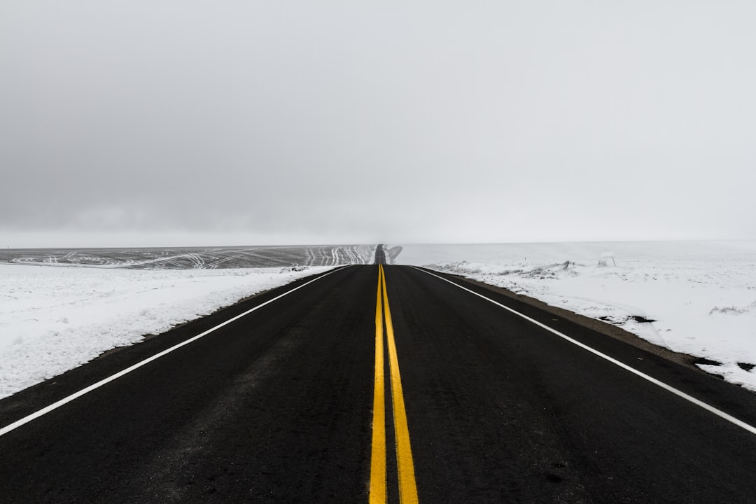 black and yellow road near sea