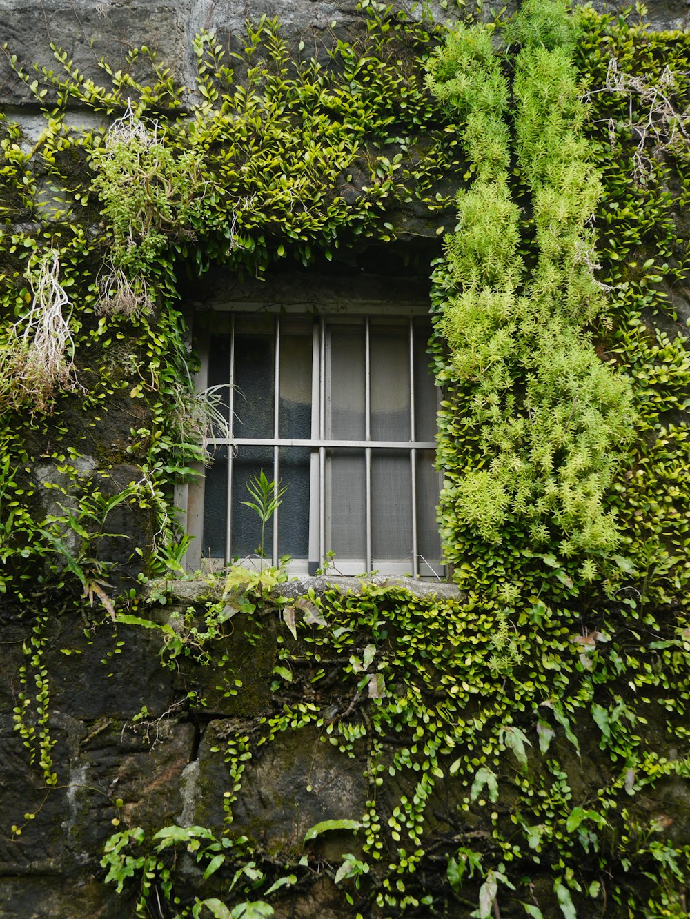 white wooden framed glass window