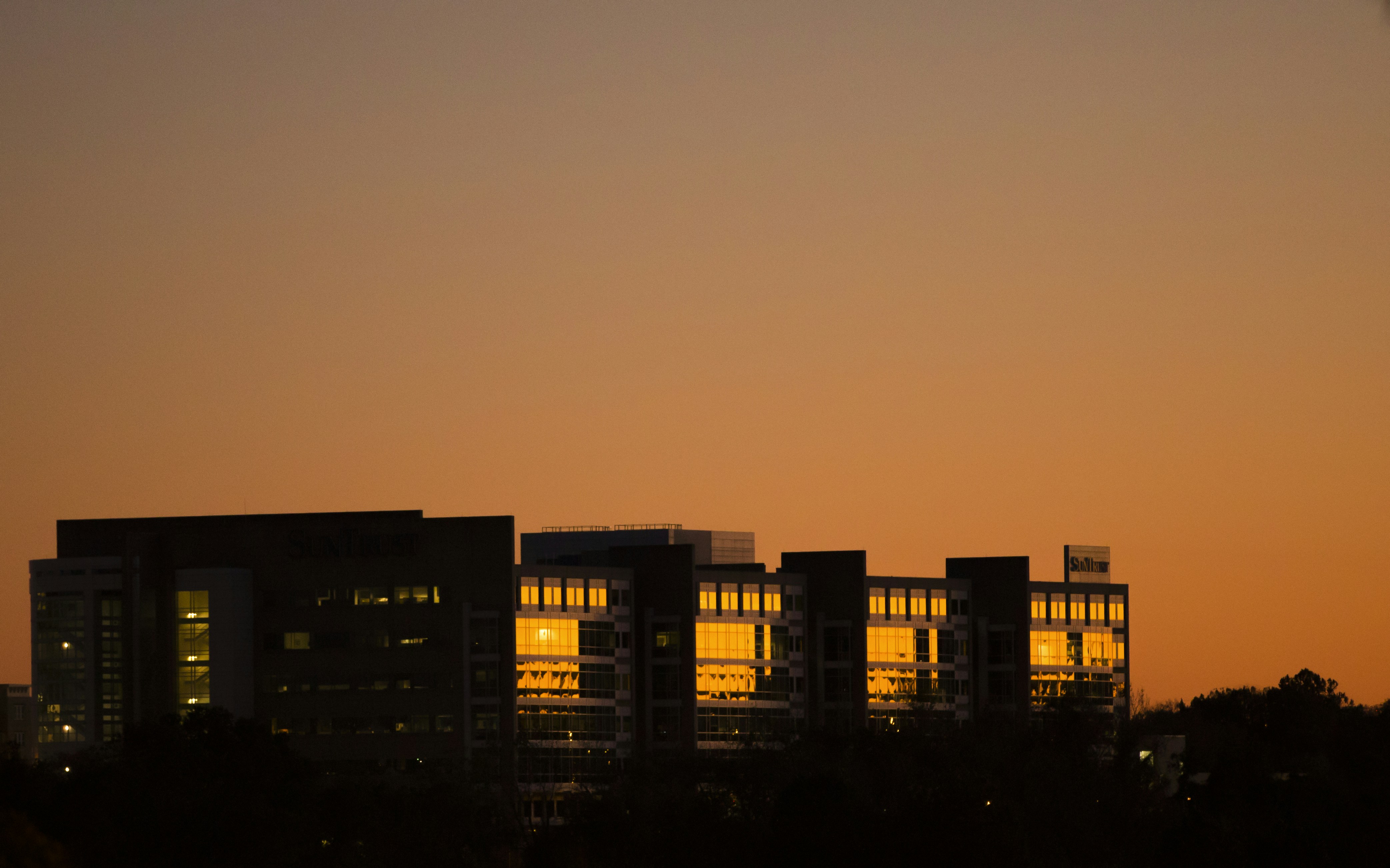 Photo by jawfox_photography