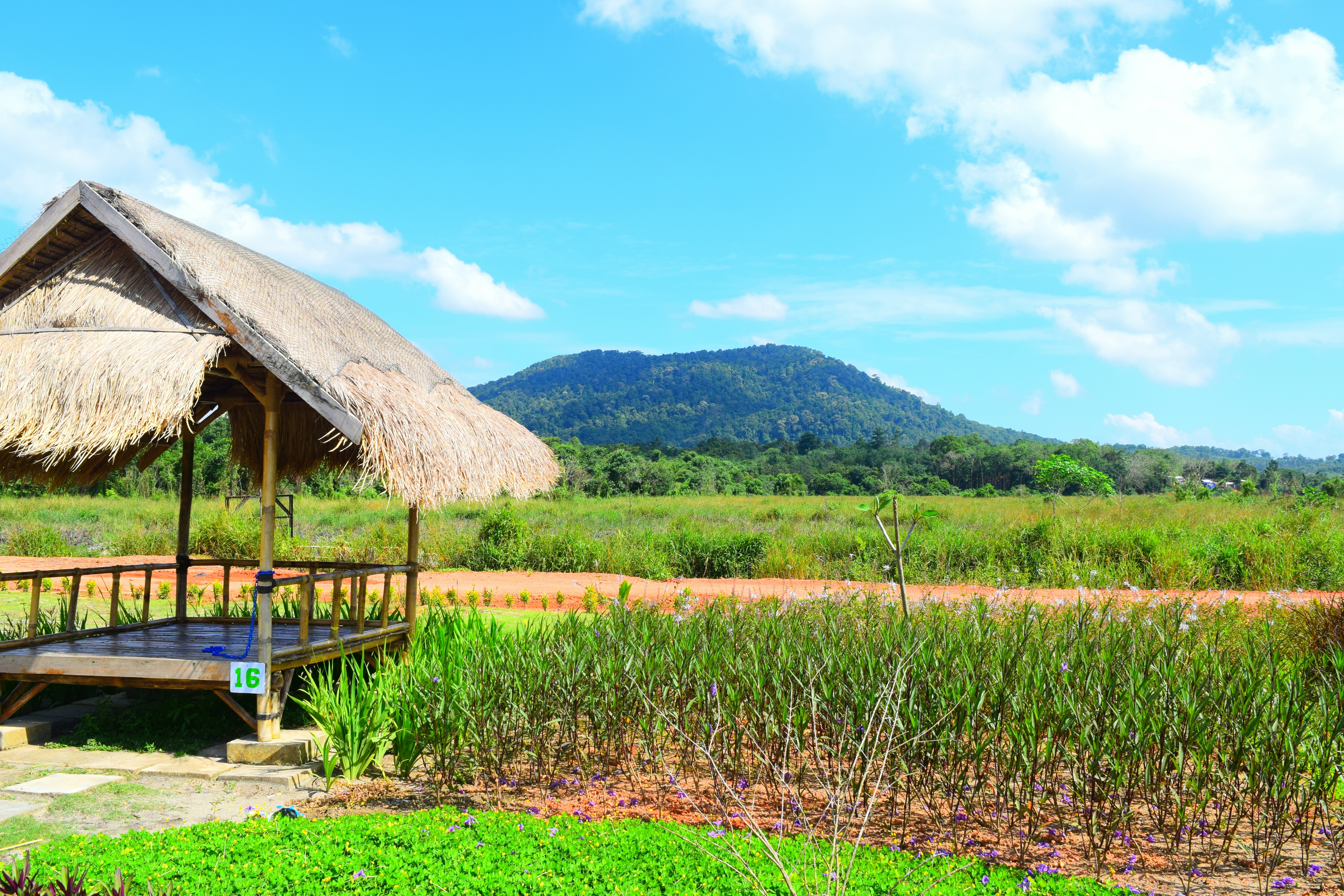 brown wooden house on green grass field near mountain under blue sky during daytime