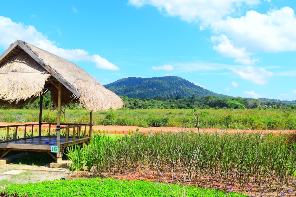 brown wooden house on green grass field near mountain under blue sky during daytime