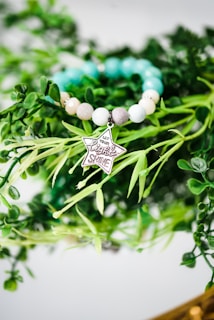 silver heart shaped pendant on green plant