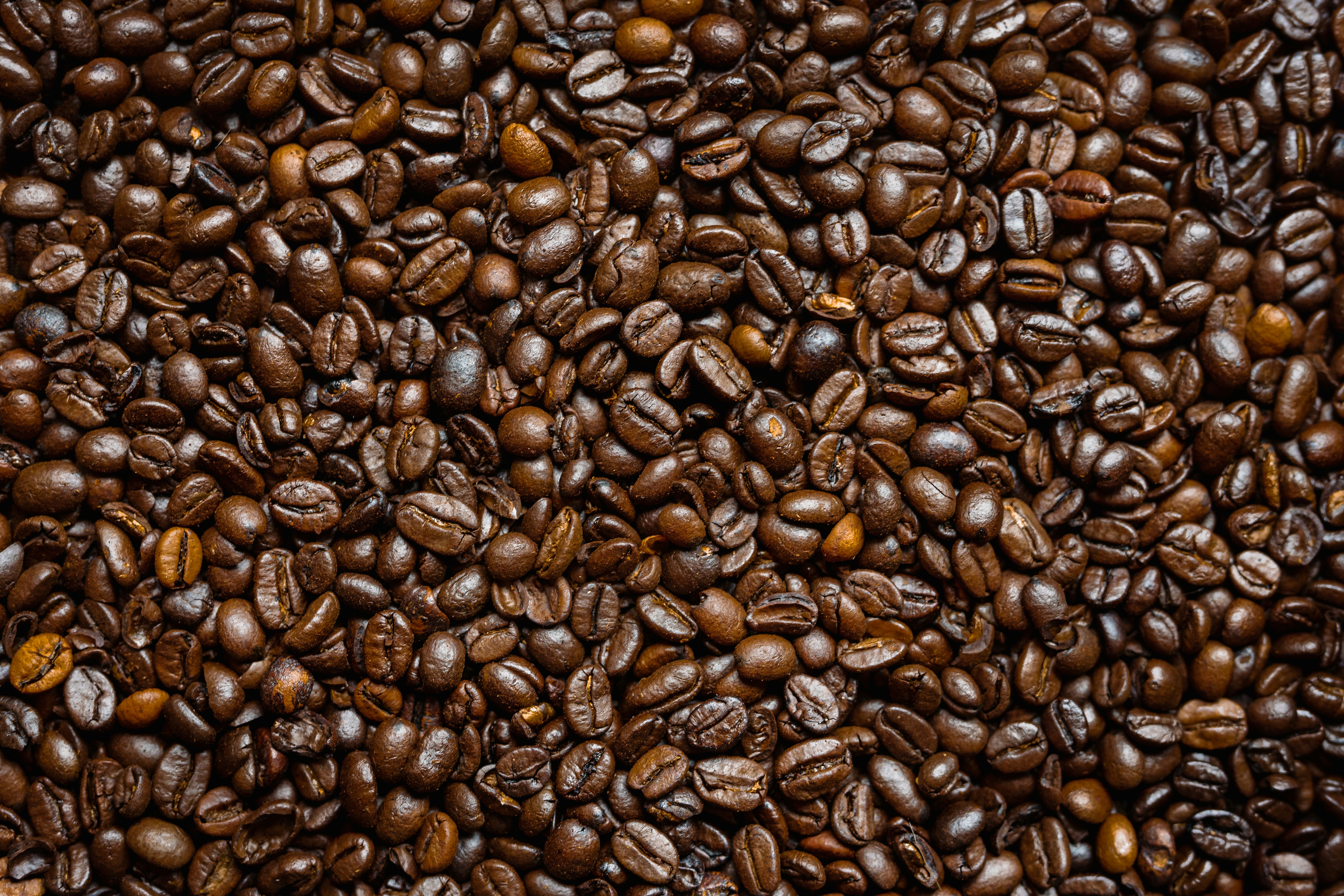 coffee beans on black surface