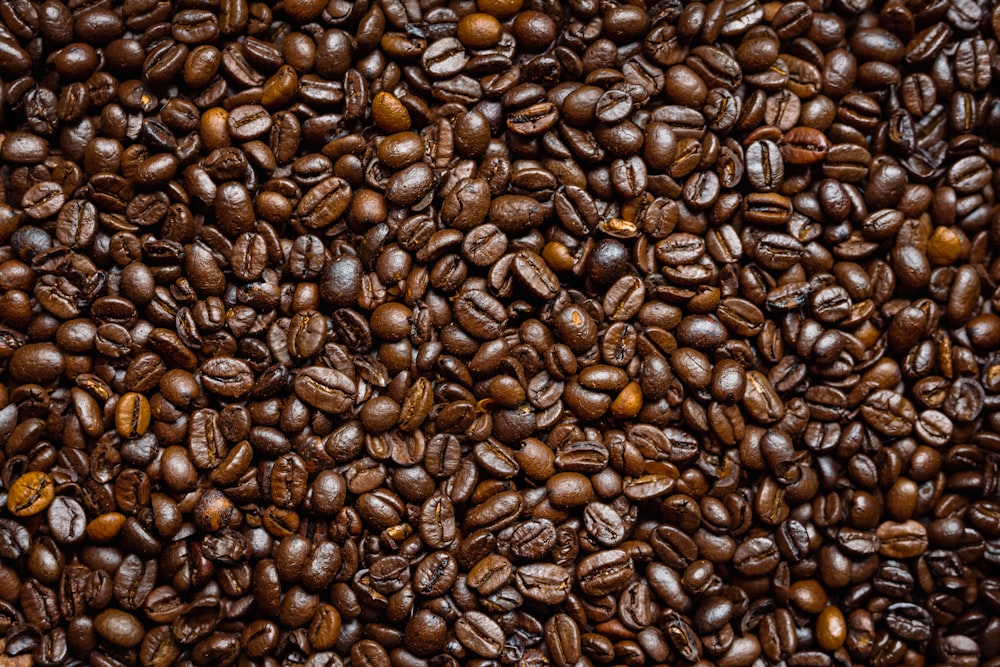 coffee beans on black surface