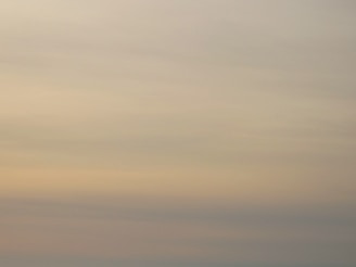 A peaceful setting with soft colors symbolizing de-escalation and understanding.