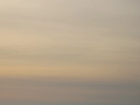 A palette filled with muted golds, warm grays, and soft whites ready for painting.