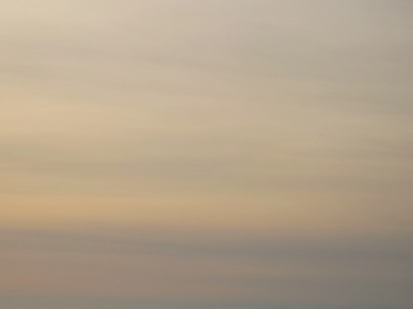 Exploring a Muted Color Palette: The Allure of Burgundy Wine Red and White