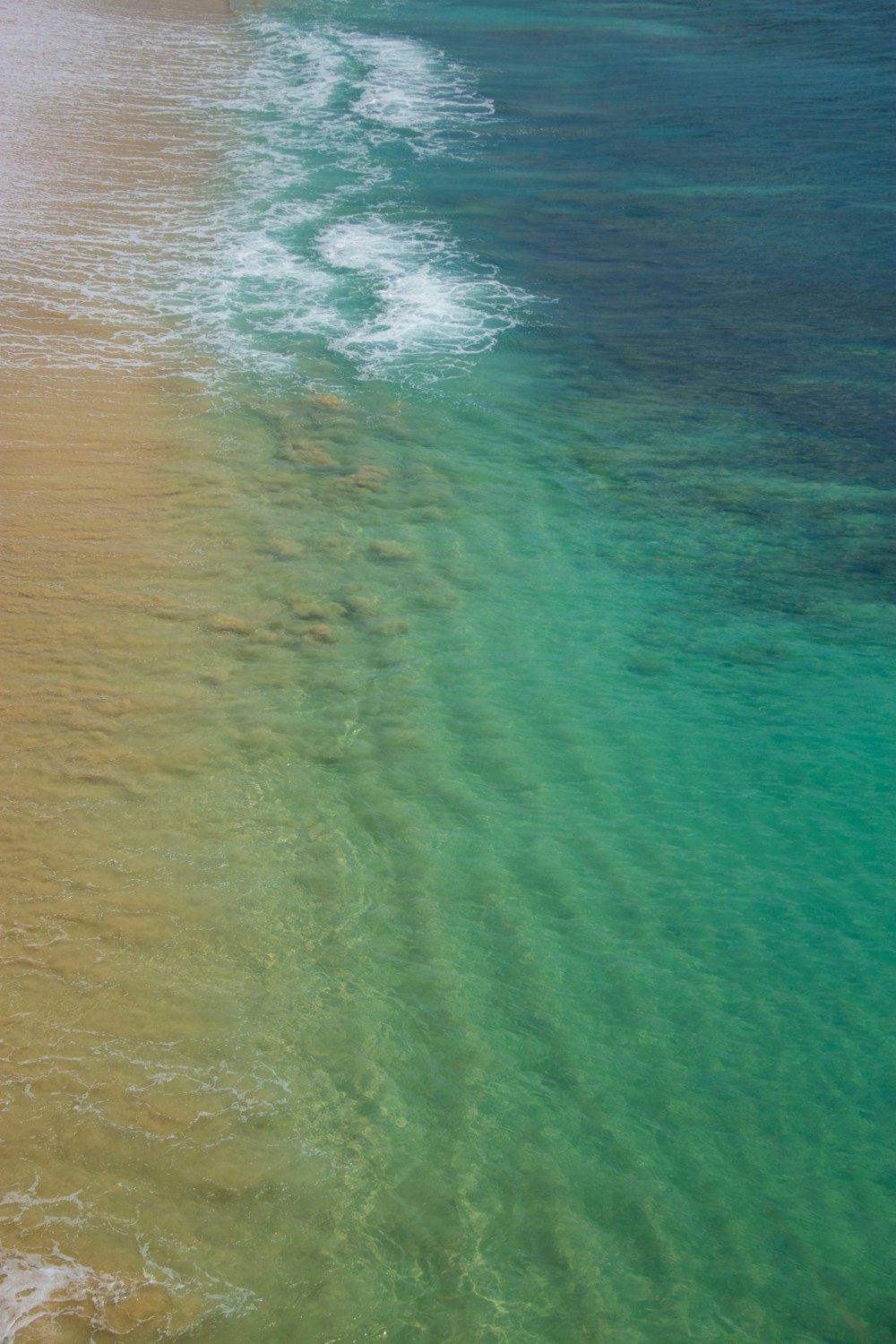 body of water during daytime