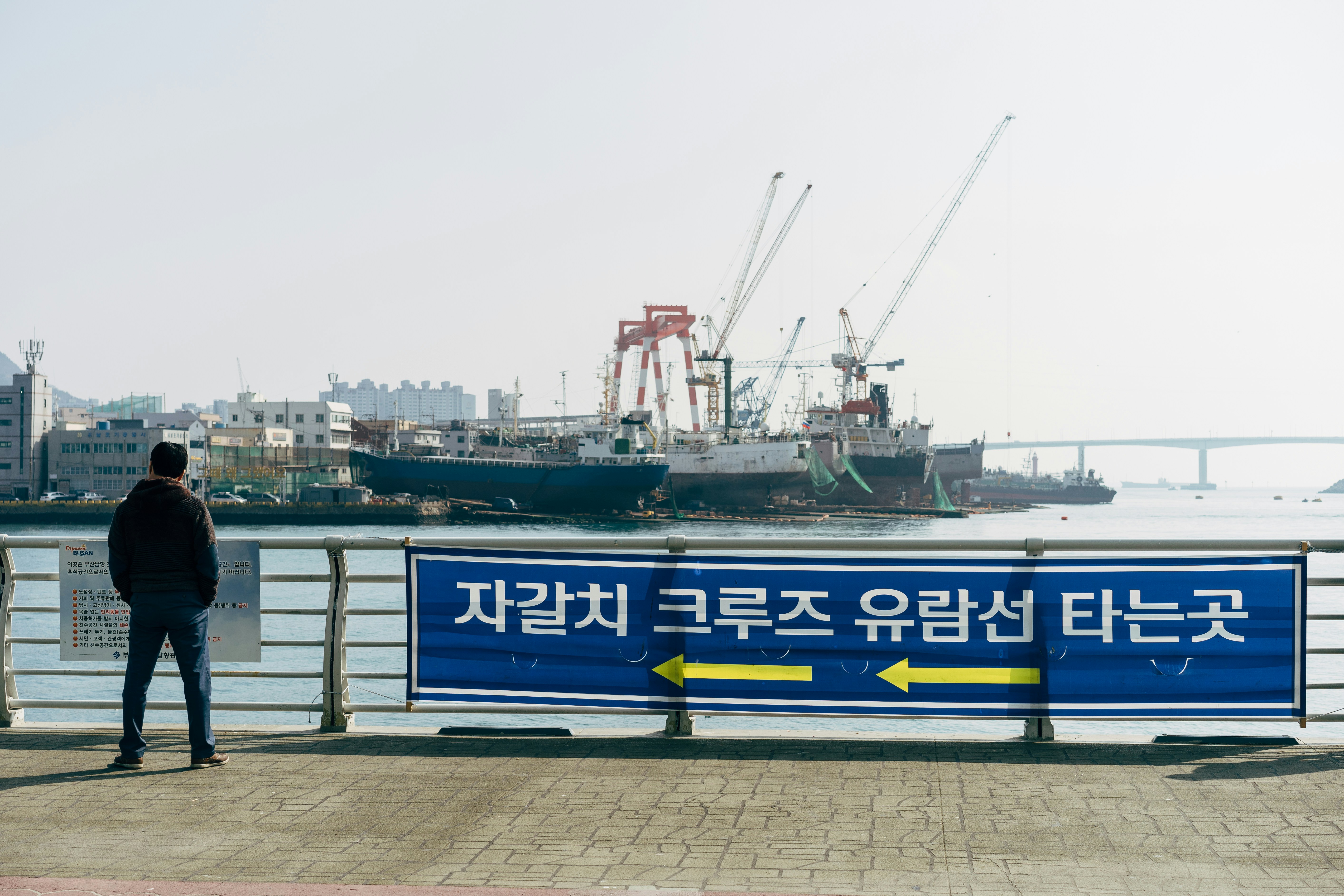 blue and white boat on dock during daytime