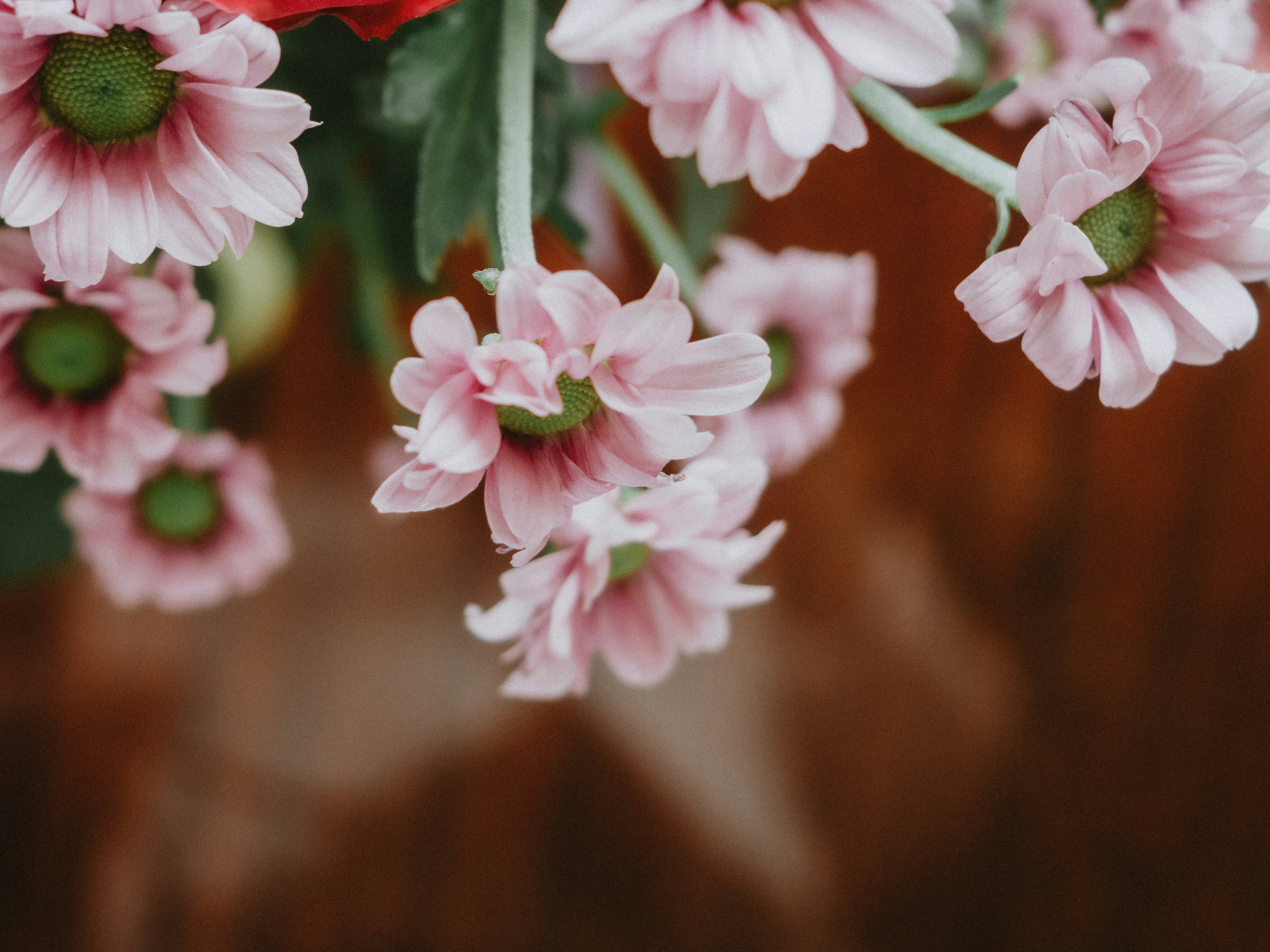 Photo by disguise_truth