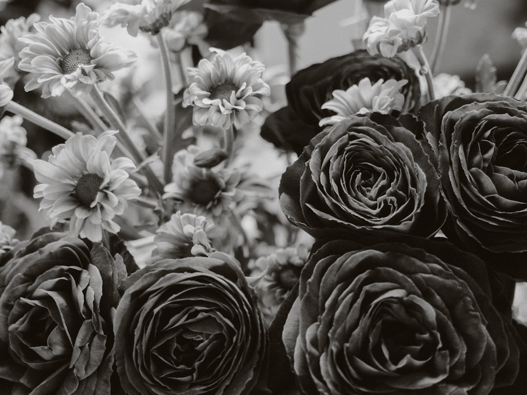 greyscale photo of flowers in bloom,