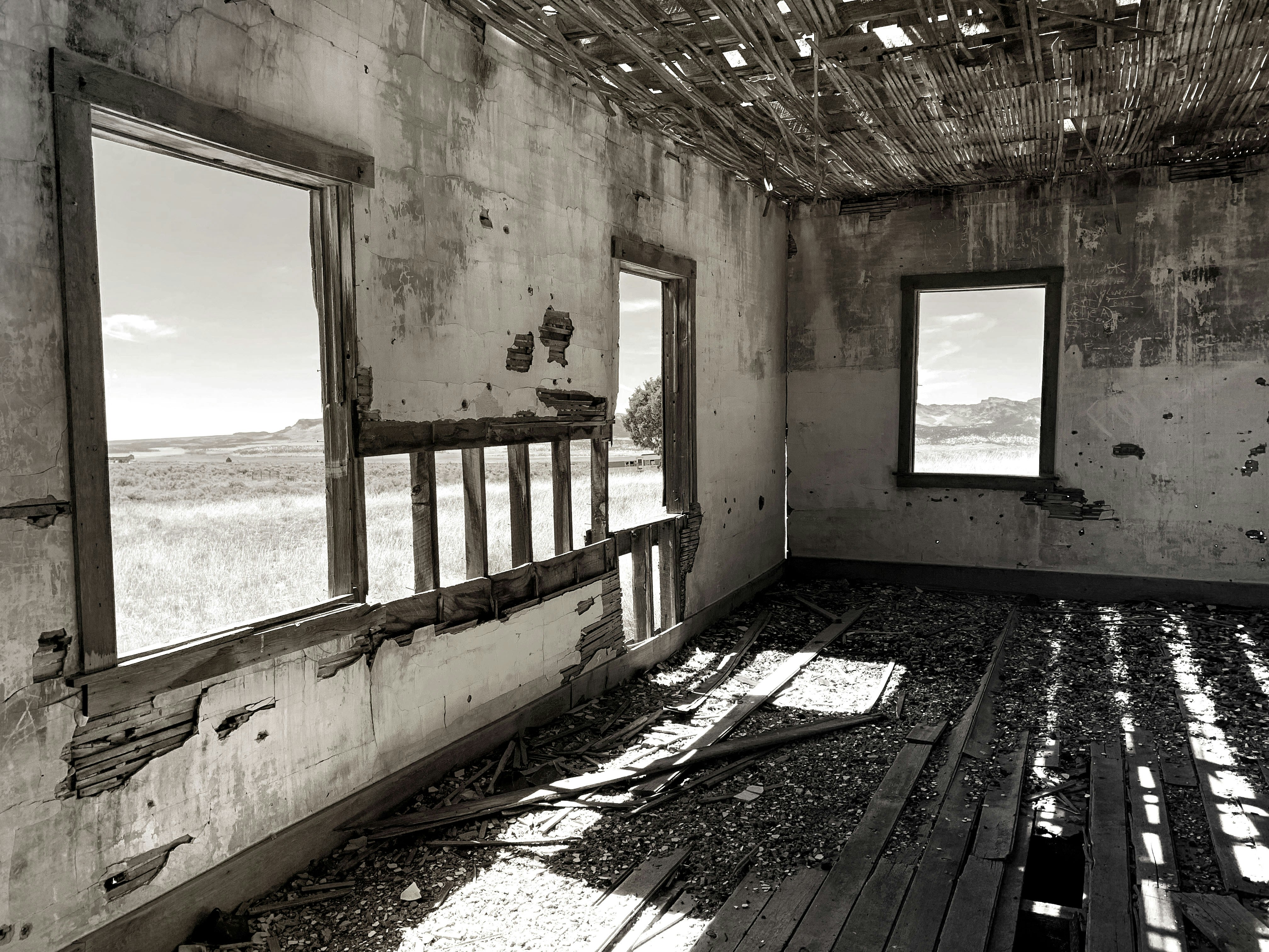 Photo by nancyoconnor