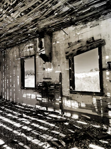 A compassionate technician carefully inspecting a water-damaged living room, sunlight streaming through a window.