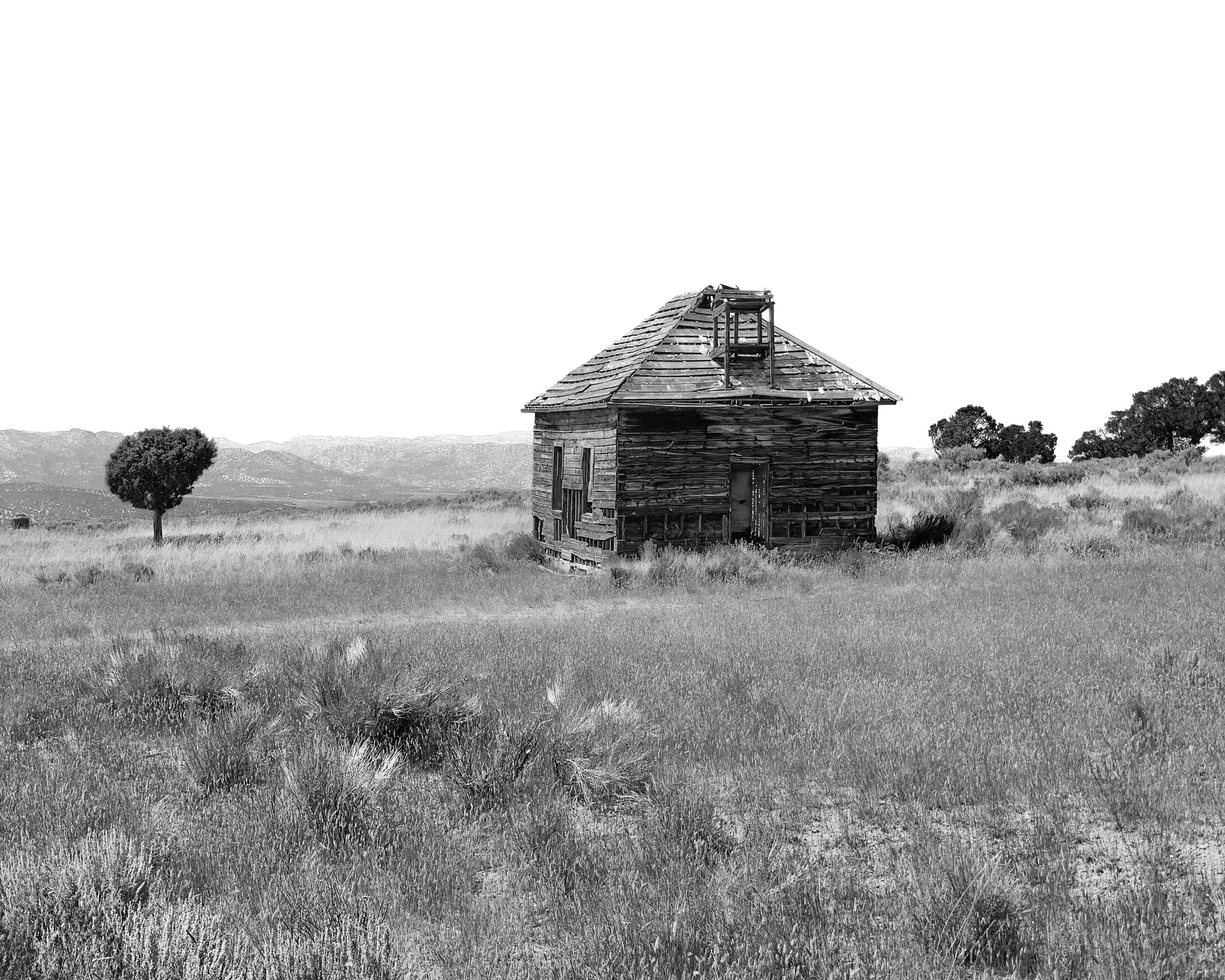 Photo by nancyoconnor