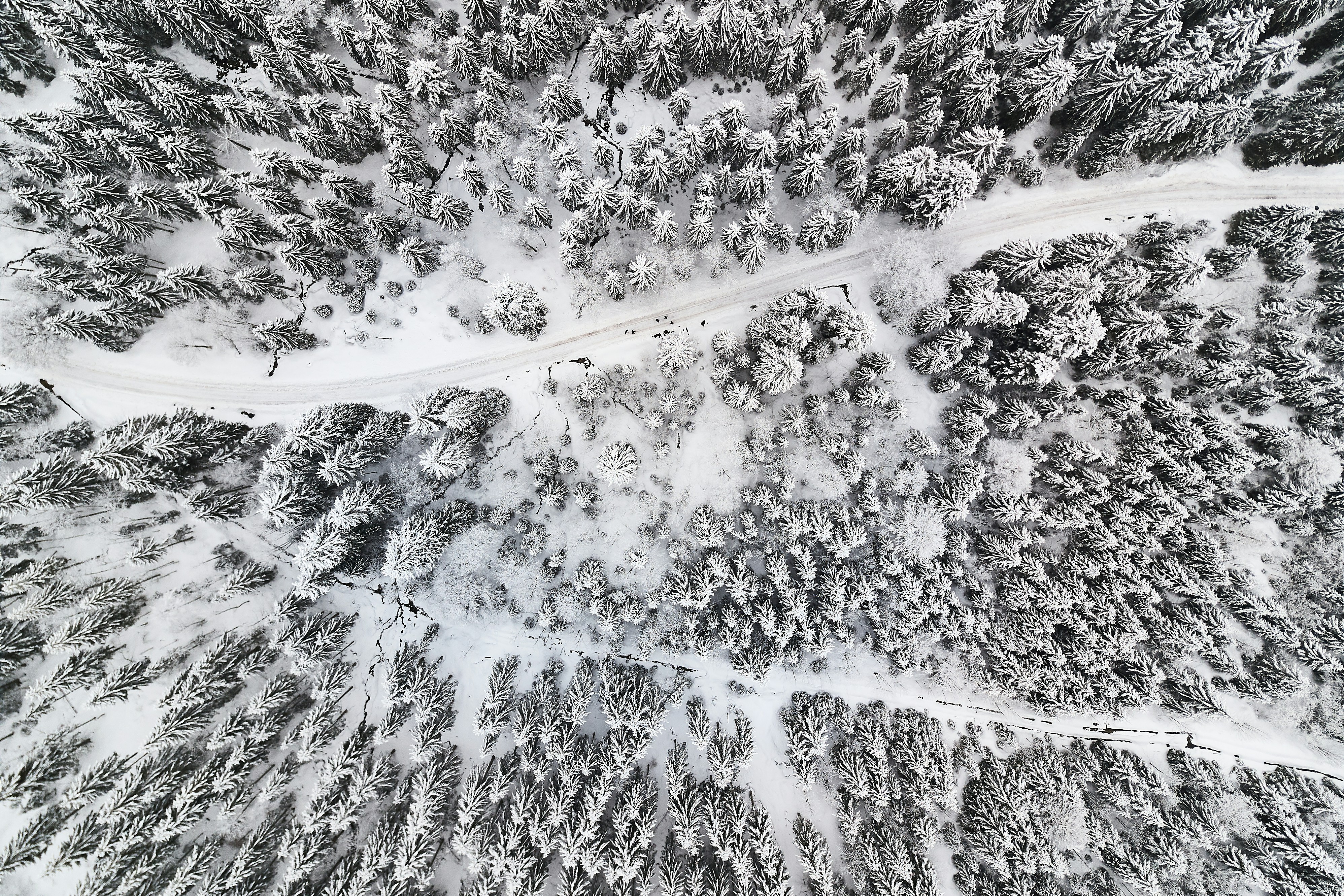 Photo by johnygoerend