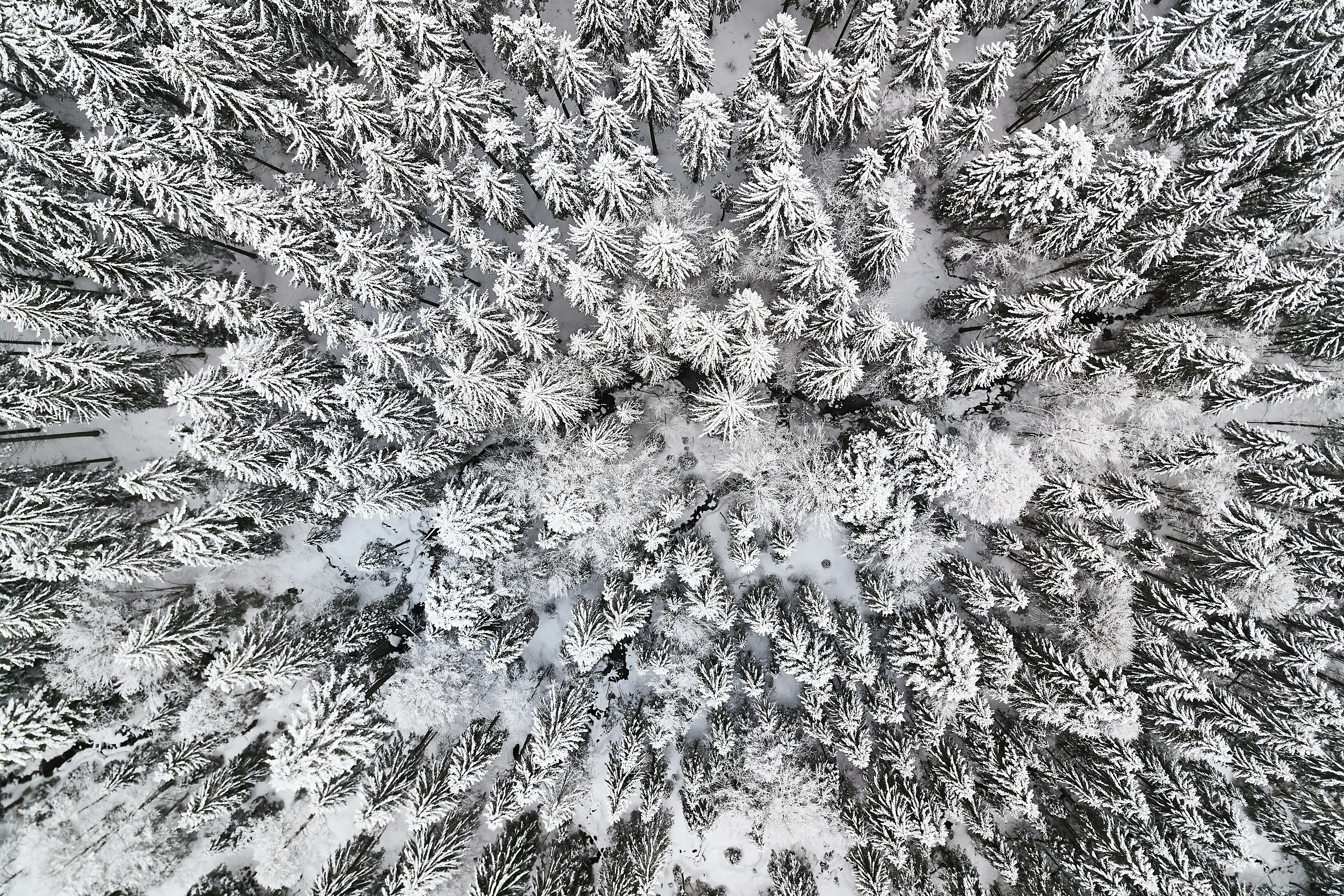 Photo by johnygoerend