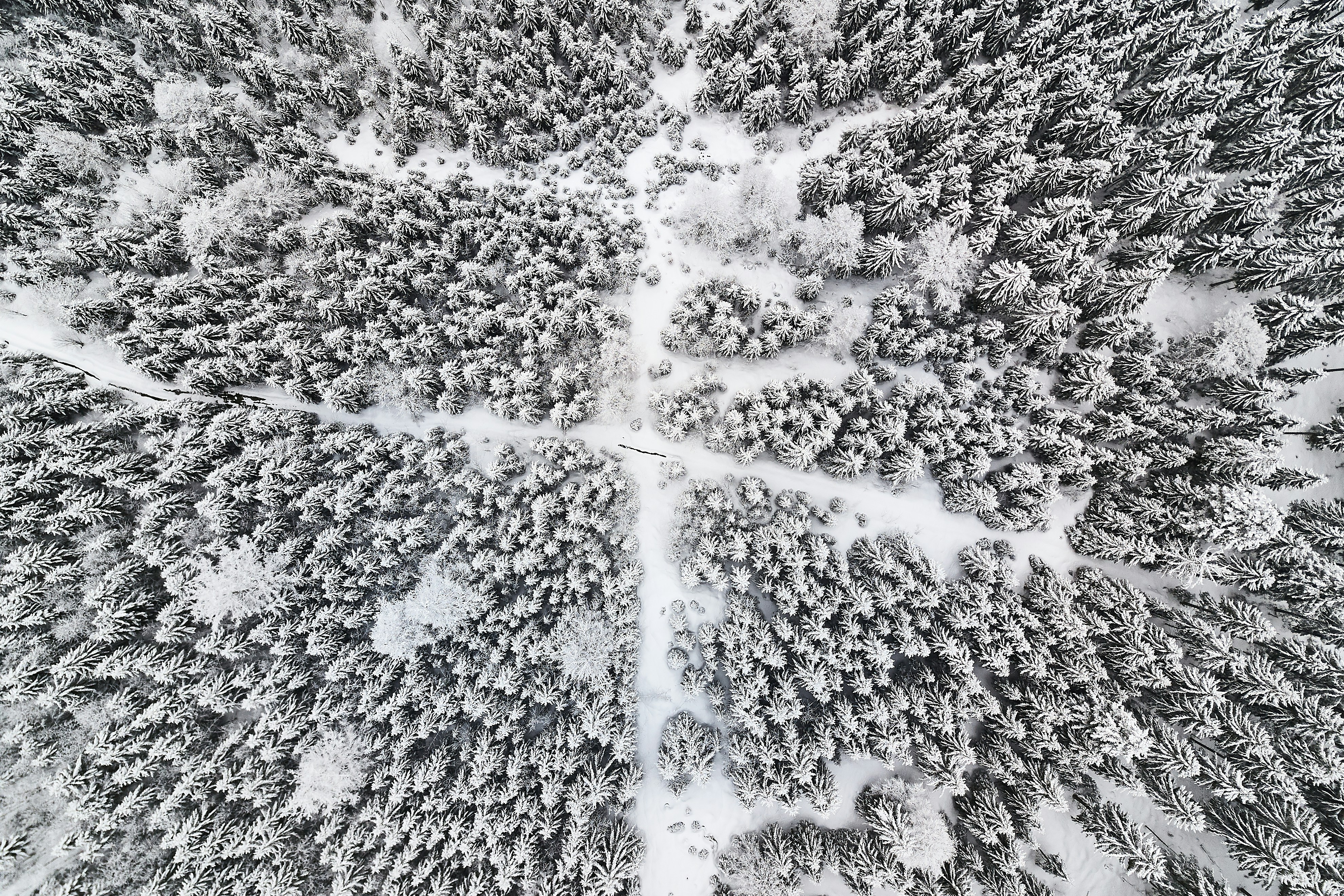 Photo by johnygoerend