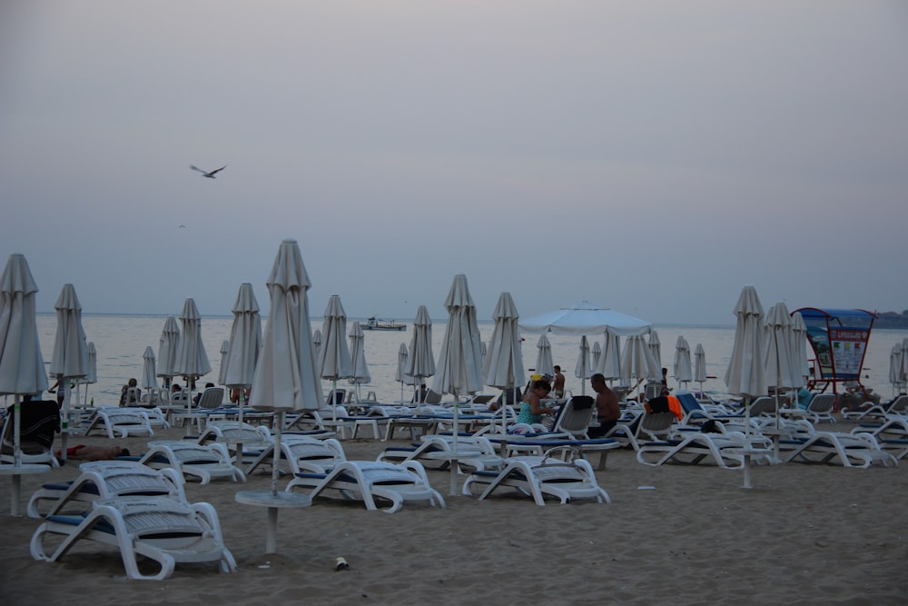 white and gray folding chairs on beach during daytime