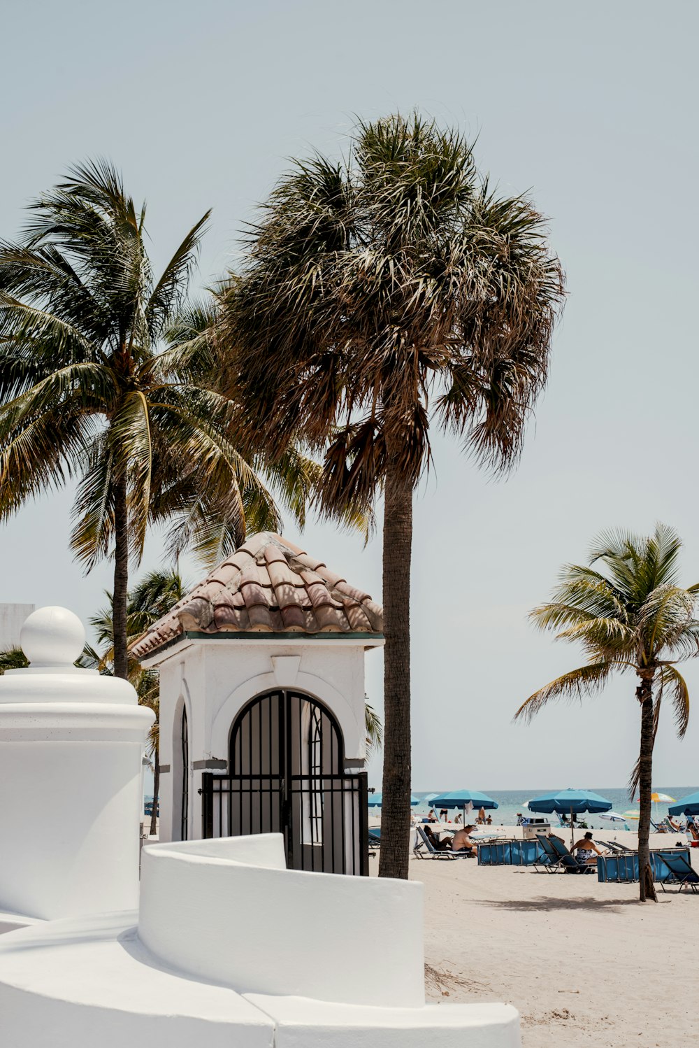 palm tree near white concrete building during daytime