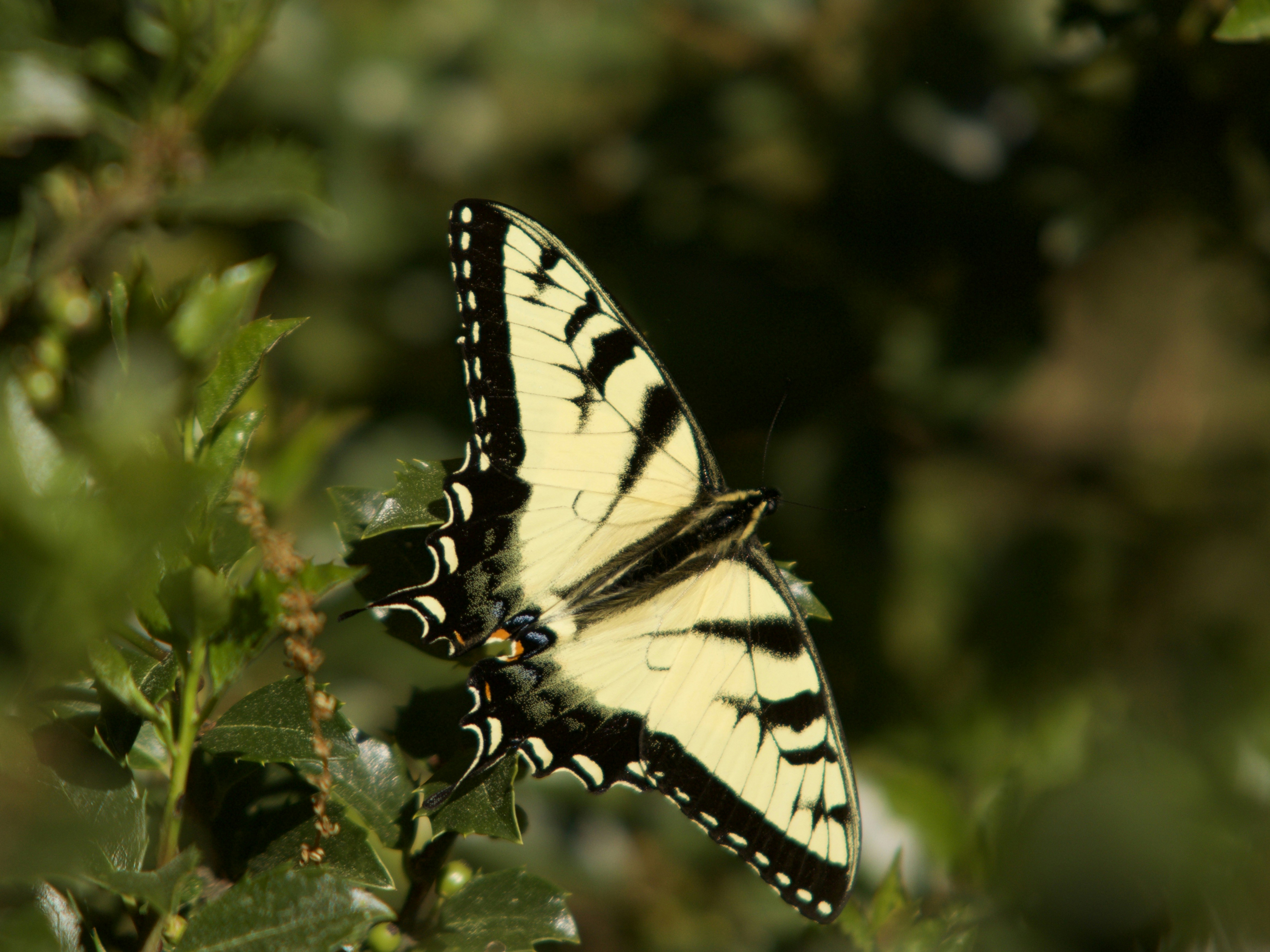 Photo by dynsight123
