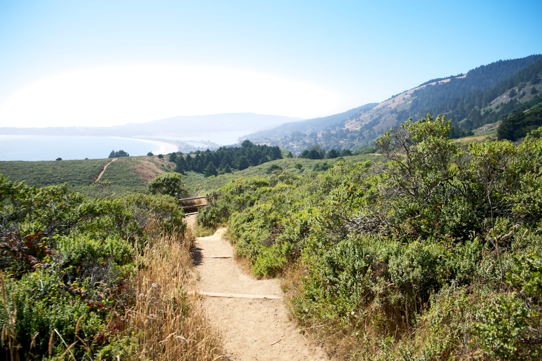 Hill station photo spot Stinson Beach Mount Tamalpais