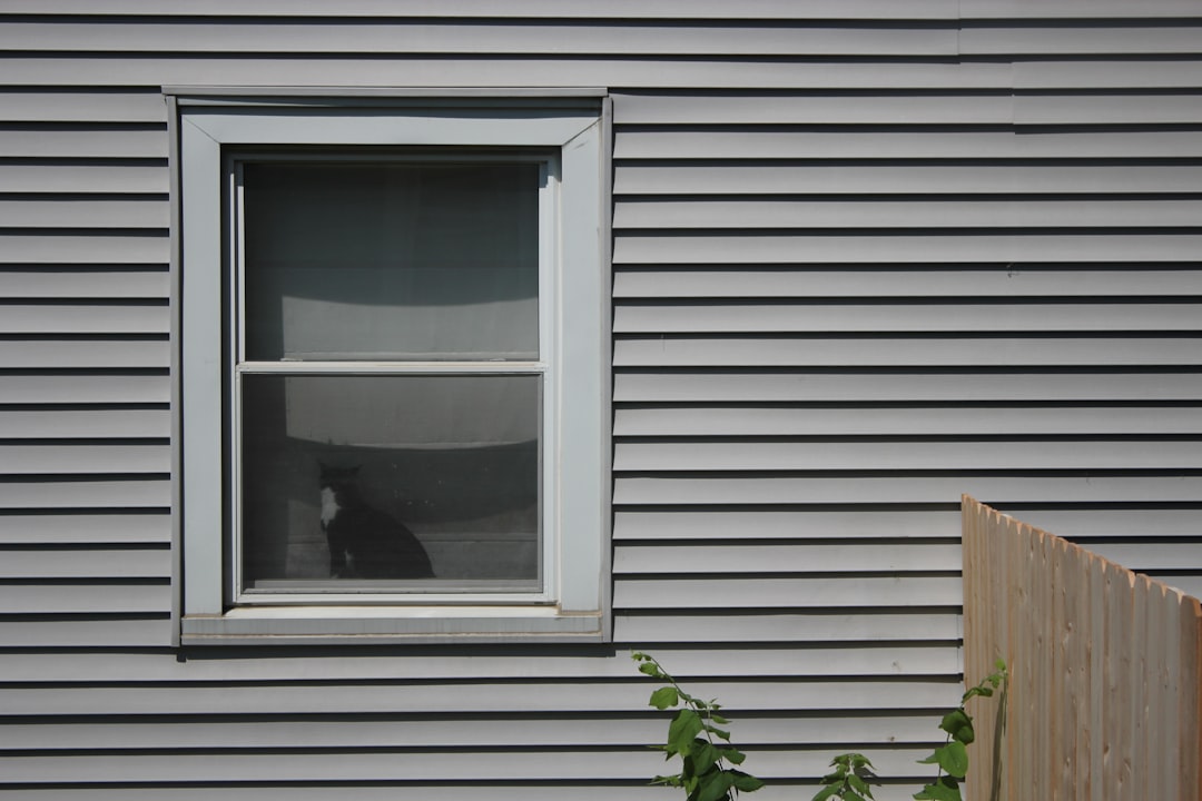 white wooden framed glass window