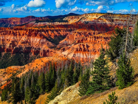 green pine trees near brown mountain under blue sky during daytime in Cedar Breaks National Monument United States