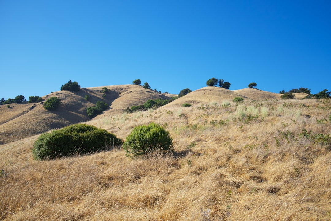 Hill photo spot Stinson Beach Twin Peaks