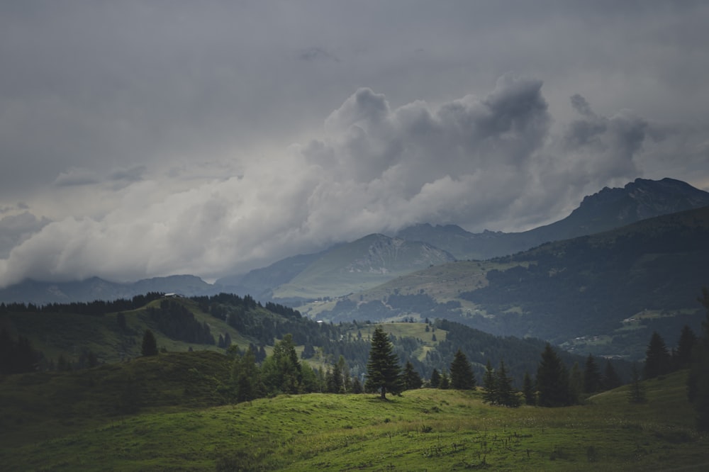 green trees on green grass field under white clouds during daytime