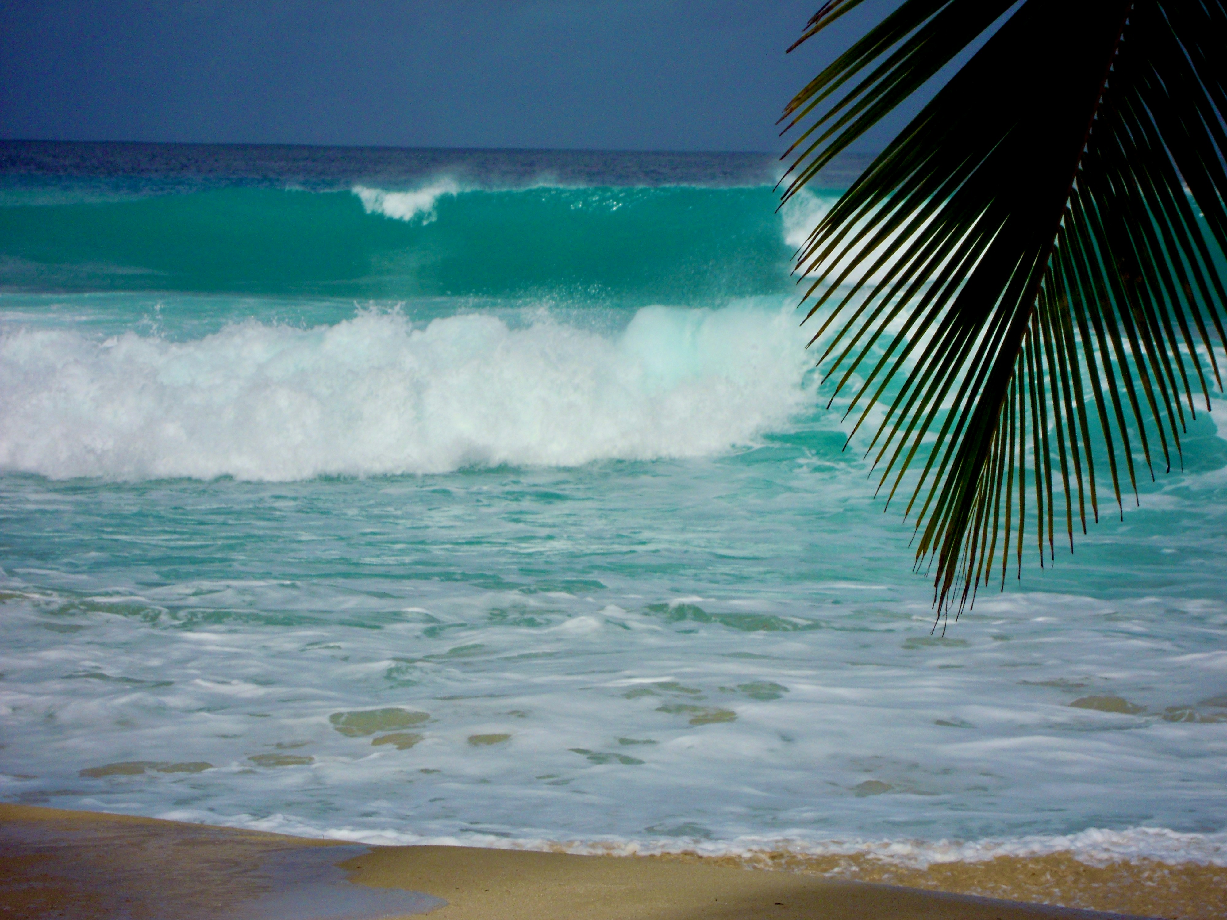 Neville Goddards view of a Barbados beach