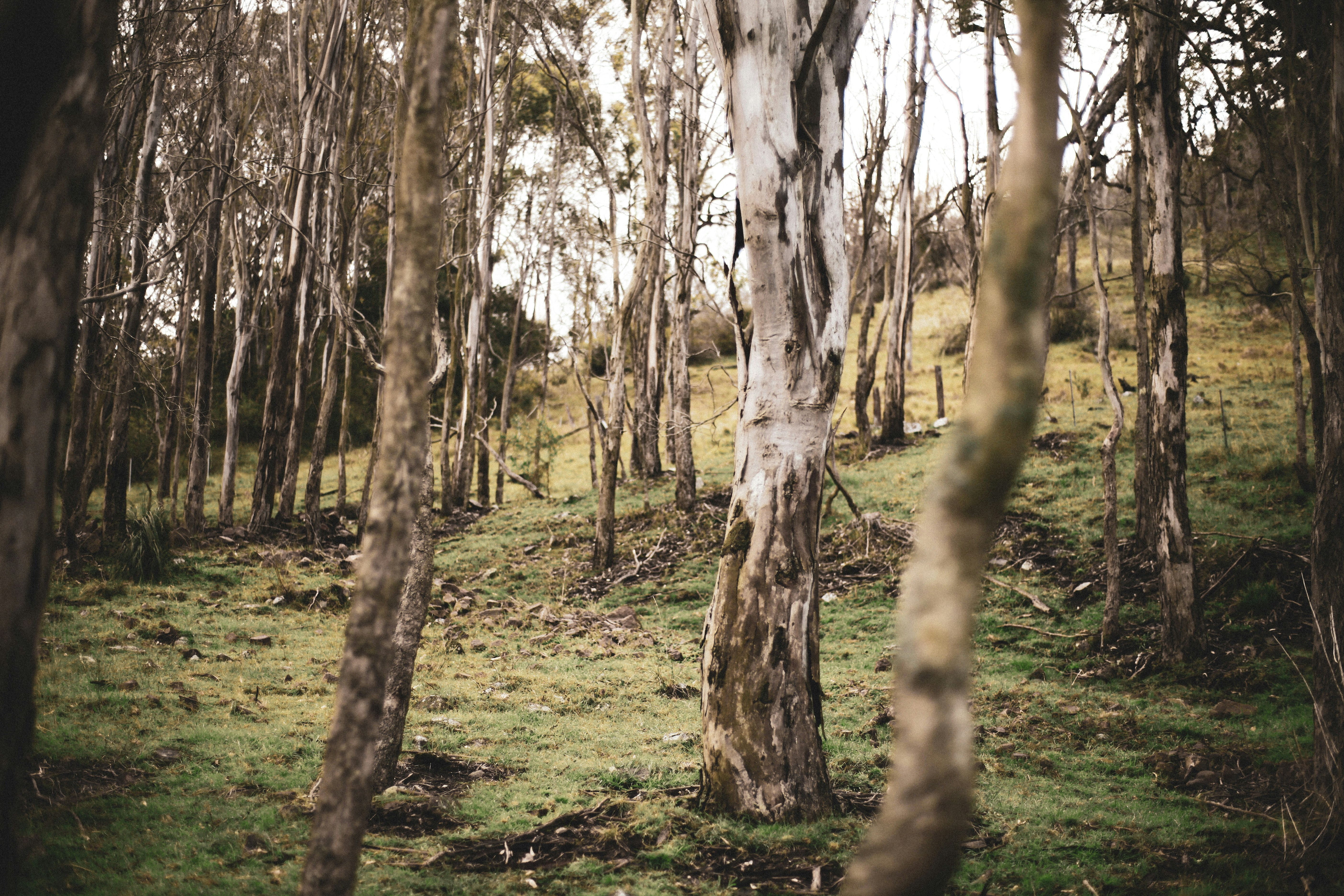 Photo by vikachartier