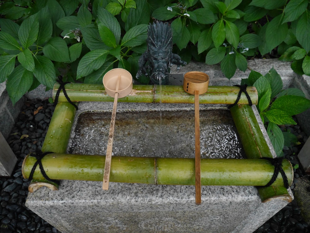 green bamboo stick on green concrete bench
