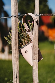 white wooden frame with brown wooden stick
