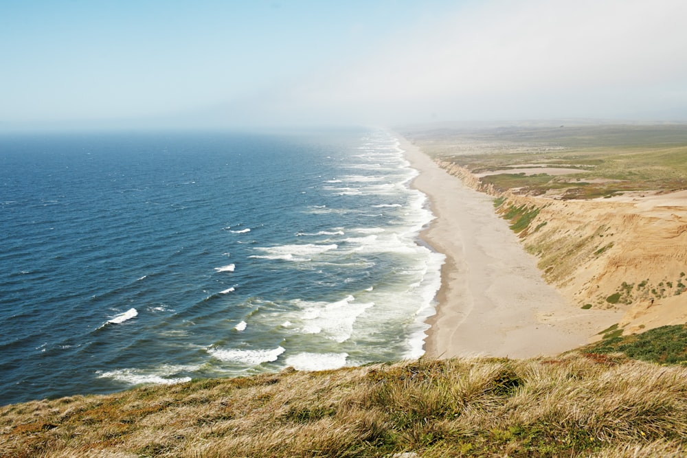 Champ d’herbe verte près de la mer pendant la journée