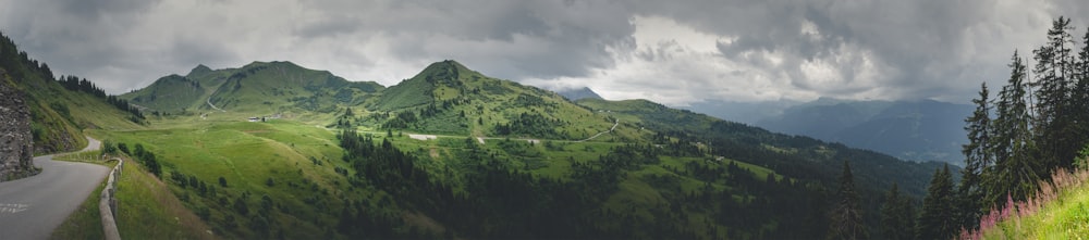 green trees on mountain under white clouds during daytime