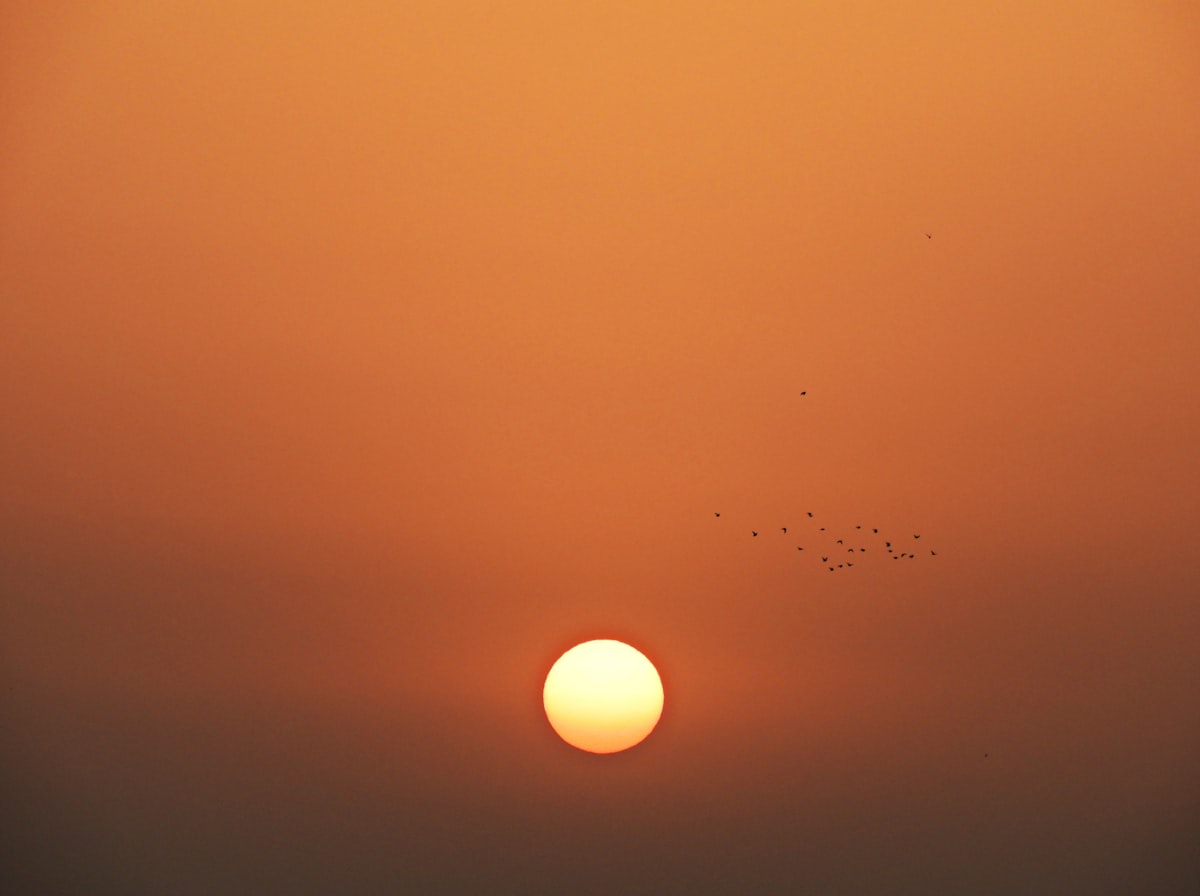 A serene lake reflecting the sky at dawn