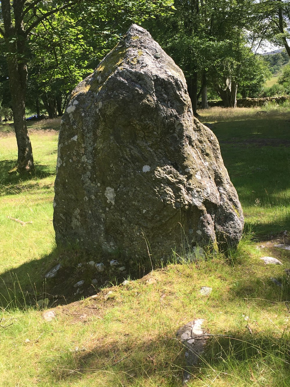 gray rock on green grass field during daytime