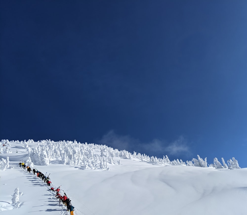 Menschen, die tagsüber auf schneebedecktem Boden unter blauem Himmel spazieren gehen