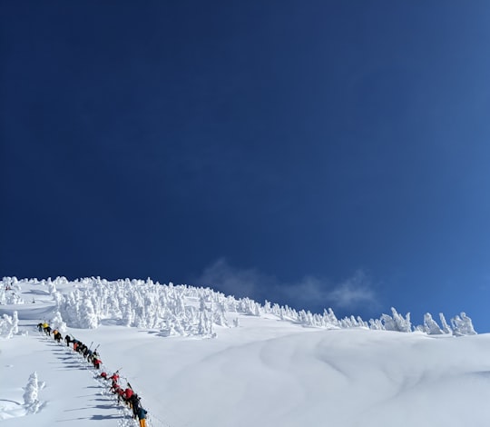 people walking on snow covered ground under blue sky during daytime in Revelstoke Canada