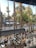 An outdoor scene with people sitting at a terrace café, surrounded by palm trees and other greenery. A few people are walking or biking on the sidewalk nearby, and a well-known coffee shop logo is visible in the background. The atmosphere is relaxed and bustling with activity.