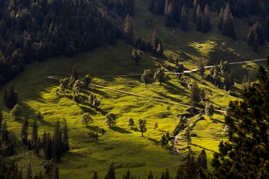 green grass field near mountain during daytime in Rosenlaui Switzerland