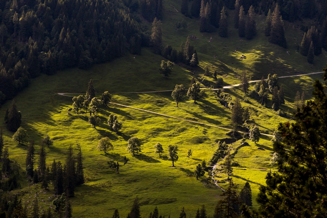 Tropical and subtropical coniferous forests photo spot Rosenlaui Switzerland